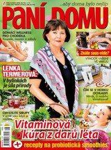 E-magazín Paní domu 8/20 - RF Hobby