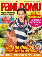 E-magazín Paní domu 7/17 - RF Hobby