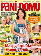 E-magazín Paní domu 9/19 - RF Hobby