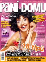 E-magazín Paní domu 1/11 - RF Hobby