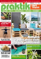 E-magazín PRAKTIK & příloha Byt magazín 3/2021 - Pražská vydavatelská společnost