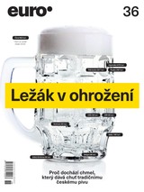 E-magazín EURO 36/2016 - New Look Media