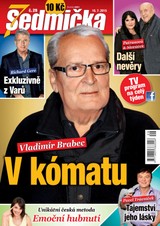 E-magazín Sedmička 29/2015 - EMPRESA MEDIA