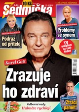 E-magazín Sedmička 24/2015 - EMPRESA MEDIA