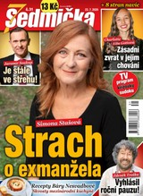 E-magazín Sedmička 31/2020 - EMPRESA MEDIA