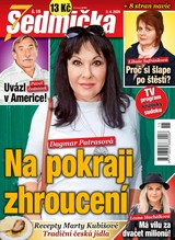 E-magazín Sedmička 15/2020 - EMPRESA MEDIA