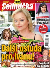 E-magazín Sedmička 25/2020 - EMPRESA MEDIA