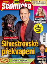 E-magazín Sedmička 52-1/2017 - EMPRESA MEDIA