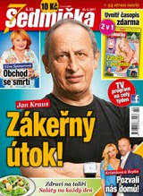 E-magazín Sedmička 22/2017 - EMPRESA MEDIA
