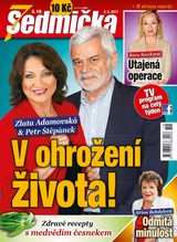 E-magazín Sedmička 19/2017 - EMPRESA MEDIA