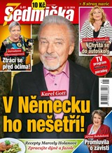 E-magazín Sedmička 41/2019 - EMPRESA MEDIA