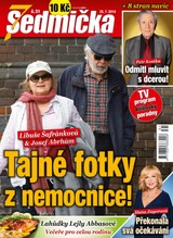 E-magazín Sedmička 31/2019 - EMPRESA MEDIA