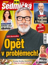 E-magazín Sedmička 29/2018 - EMPRESA MEDIA