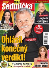 E-magazín Sedmička 13/2021 - EMPRESA MEDIA