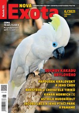 E-magazín Nová EXOTA 6/2021 - Nová Exota