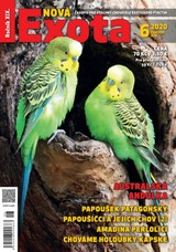 E-magazín Nová EXOTA 6/2020 - Nová Exota