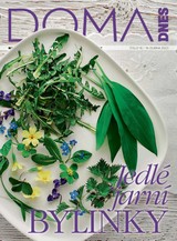 E-magazín DOMA DNES - 19.4.2023 - MAFRA, a.s.