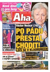 E-magazín AHA! - 25.4.2023 - CZECH NEWS CENTER a. s.