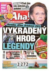 E-magazín AHA! - 13.6.2023 - CZECH NEWS CENTER a. s.