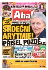 E-magazín AHA! - 15.6.2023 - CZECH NEWS CENTER a. s.