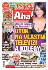 E-magazín AHA! - 16.6.2023 - CZECH NEWS CENTER a. s.