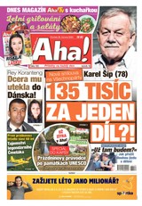 E-magazín AHA! - 29.6.2023 - CZECH NEWS CENTER a. s.
