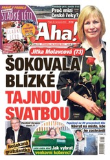 E-magazín AHA! - 28.7.2023 - CZECH NEWS CENTER a. s.