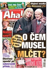 E-magazín AHA! - 29.7.2023 - CZECH NEWS CENTER a. s.