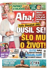 E-magazín AHA! - 3.8.2023 - CZECH NEWS CENTER a. s.