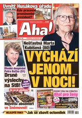 E-magazín AHA! - 19.8.2023 - CZECH NEWS CENTER a. s.