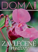 E-magazín DOMA DNES - 30.8.2023 - MAFRA, a.s.