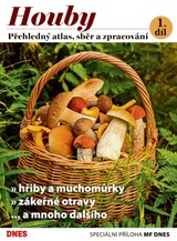 E-magazín Magazín DNES Speciál Magazín DNES Speciál Jižní Čechy - 5.9.2023 - MAFRA, a.s.
