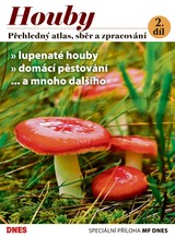 E-magazín Magazín DNES Speciál Magazín DNES Speciál Jižní Čechy - 12.9.2023 - MAFRA, a.s.