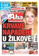 E-magazín AHA! - 31.10.2023 - CZECH NEWS CENTER a. s.