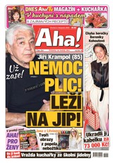 E-magazín AHA! - 2.11.2023 - CZECH NEWS CENTER a. s.