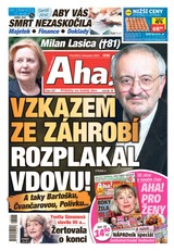 E-magazín AHA! - 6.11.2023 - CZECH NEWS CENTER a. s.