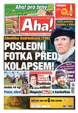 E-magazín AHA! - 22.11.2023 - CZECH NEWS CENTER a. s.