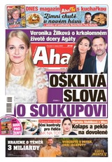 E-magazín AHA! - 4.1.2024 - CZECH NEWS CENTER a. s.