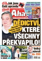 E-magazín AHA! - 23.1.2024 - CZECH NEWS CENTER a. s.
