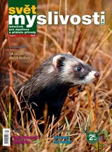 E-magazín Svět myslivosti 2024 04 - Lesnická práce