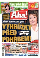 E-magazín AHA! - 17.4.2024 - CZECH NEWS CENTER a. s.
