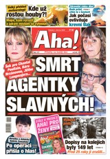 E-magazín AHA! - 01.06.2024 - CZECH NEWS CENTER a. s.