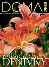 E-magazín DOMA DNES - 19.06.2024 - MAFRA, a.s.