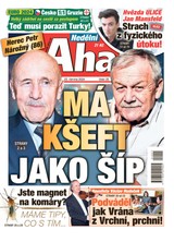 E-magazín NEDĚLNÍ AHA! - 23.06.2024 - CZECH NEWS CENTER a. s.