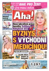E-magazín AHA! - 25.06.2024 - CZECH NEWS CENTER a. s.
