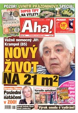 E-magazín AHA! - 26.06.2024 - CZECH NEWS CENTER a. s.