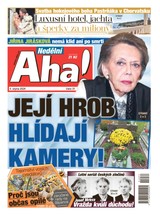 E-magazín NEDĚLNÍ AHA! - 04.08.2024 - CZECH NEWS CENTER a. s.