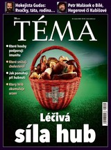 E-magazín TÉMA DNES - 30.08.2024 - MAFRA, a.s.