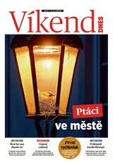 E-magazín Víkend DNES Jižní Čechy - 21.09.2024 - MAFRA, a.s.