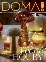 E-magazín DOMA DNES - 09.10.2024 - MAFRA, a.s.